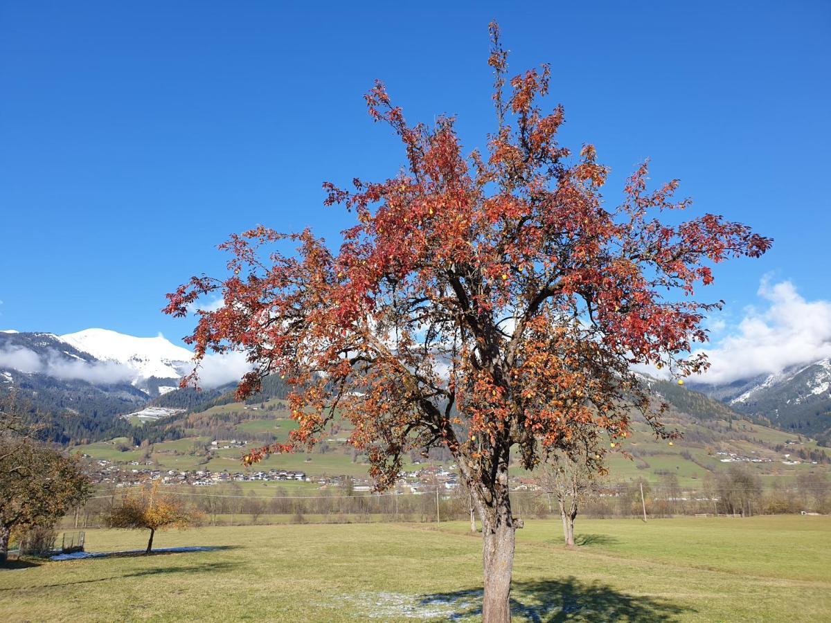 Golf&Ski Appartements Mittersill Trausmuth Monika inkl Sommercard Nationalpark Hohe Tauern Exterior foto